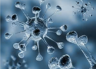 人生就是博官方网站体内体外药效试验顺遂通过药监局审查