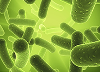 人生就是博官方网站将加入2013年欧洲生物春季展会