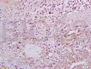 首页-人生就是博中国官方网站