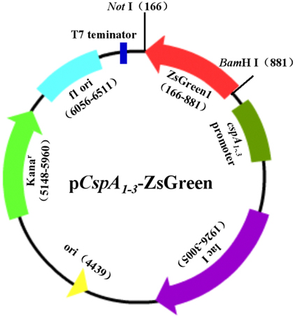 首页-人生就是博中国官方网站