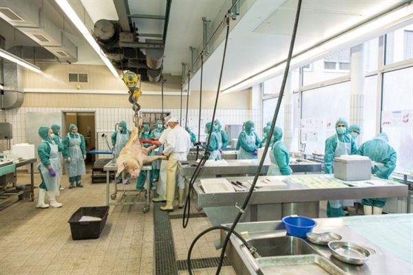 中国药企欧盟碰壁：：质量问题照旧标准差别？？