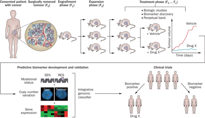 首页-人生就是博中国官方网站