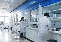 9月22号，人生就是博官方网站乐成召开生物医药企业手艺交流会