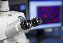 改委监控三类药价，本钱价视察将启动