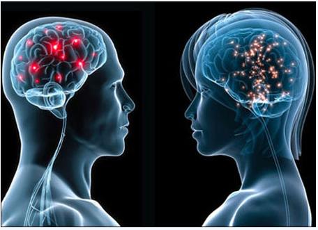 5月2号，医药经济报上揭晓了关于陈春麟博士的报道——CRO的中国式崛起路径