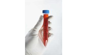 首页-人生就是博中国官方网站