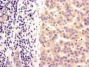 首页-人生就是博中国官方网站