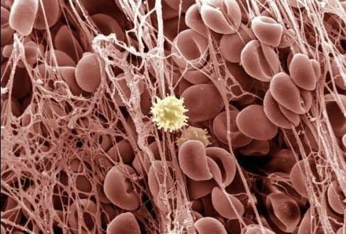 首页-人生就是博中国官方网站