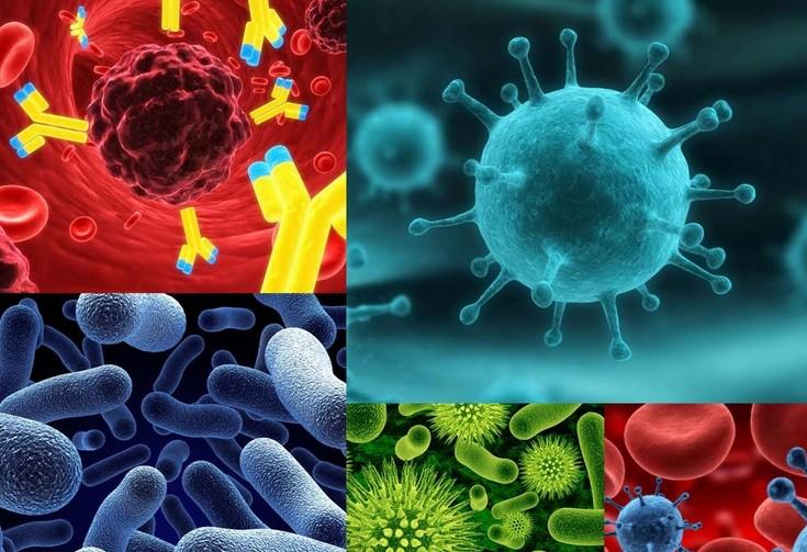 原位杂交手艺的基本流程有哪些？