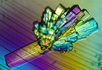 PD-1抑制剂成“抗癌神器”，海内外企业希望怎样？