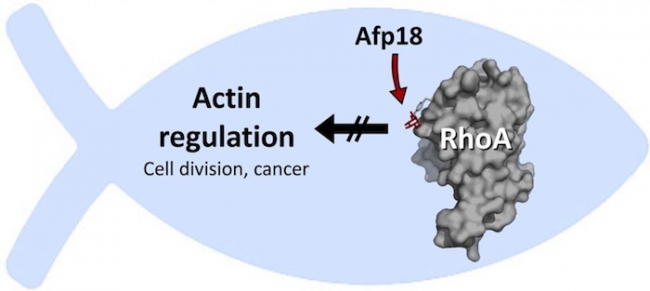 首页-人生就是博中国官方网站