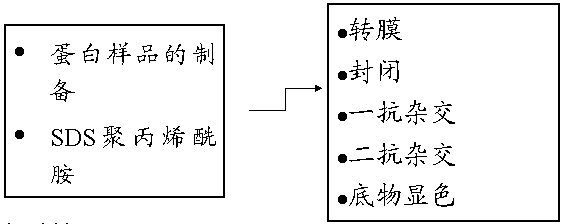 首页-人生就是博中国官方网站