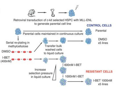 首页-人生就是博中国官方网站