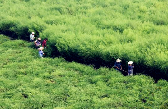 首页-人生就是博中国官方网站