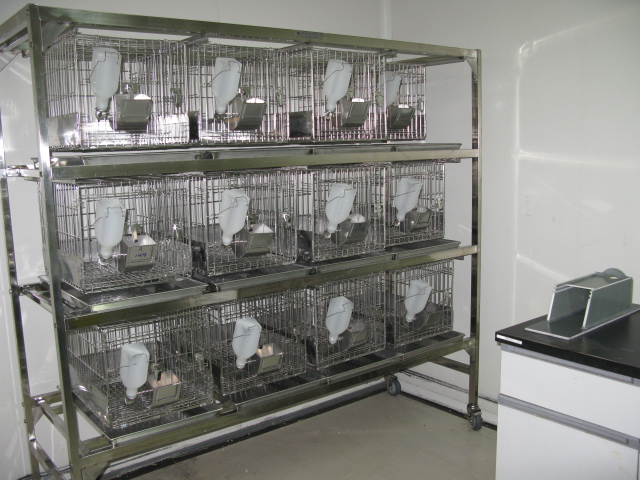 人生就是博官方网站普亚新动物房通过上海动管会验收