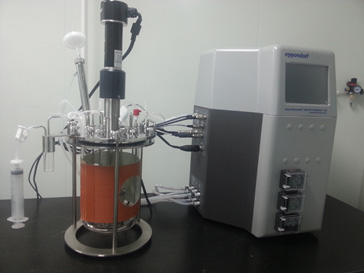 人生就是博官方网站的生物药（抗体）实验室即将投入使用