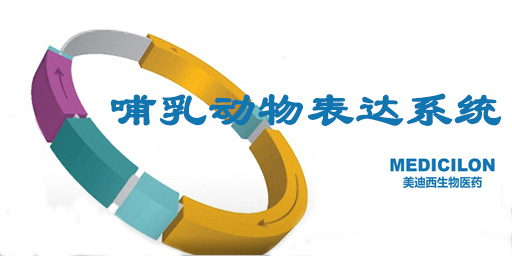 哺乳动物细胞表达系统特点、、优势及研究现状