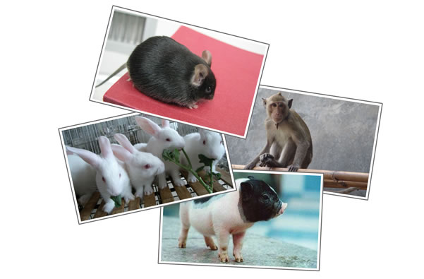 首页-人生就是博中国官方网站