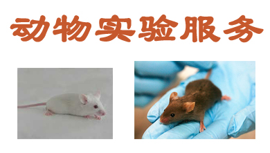 人生就是博官方网站动物实验外包服务