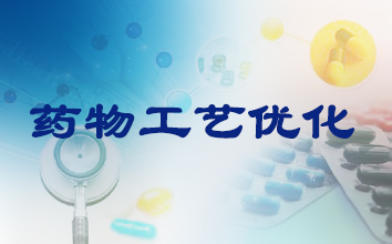 人生就是博官方网站制药工艺优化服务
