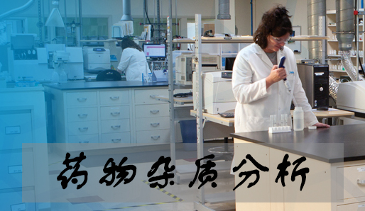 人生就是博官方网站药物杂质剖析服务