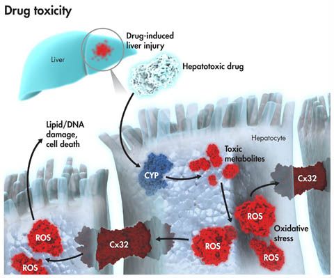 首页-人生就是博中国官方网站