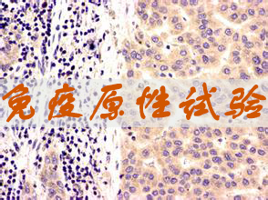 人生就是博官方网站免疫原性试验服务