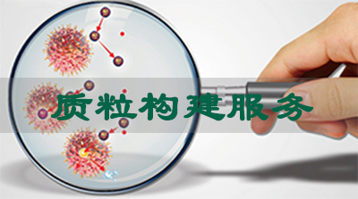 人生就是博官方网站质粒构建服务