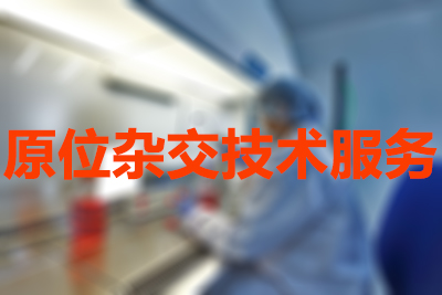 原位杂交手艺的分类有哪些？？？