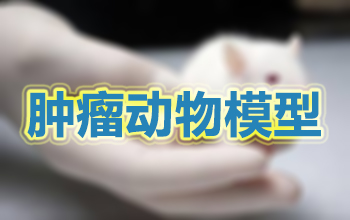 常见的肿瘤动物模子一览