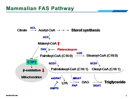 首页-人生就是博中国官方网站