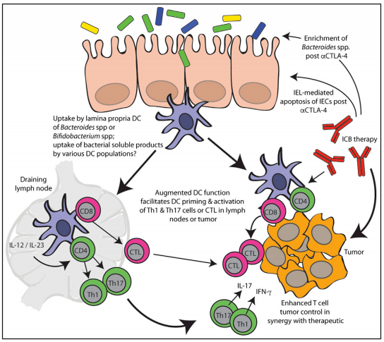 首页-人生就是博中国官方网站