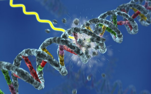 首页-人生就是博中国官方网站