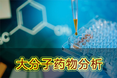 人生就是博官方网站大分子药物剖析服务