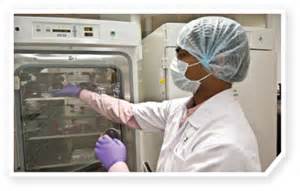 Science：：癌症免疫疗法“新靶点”——Cdk5