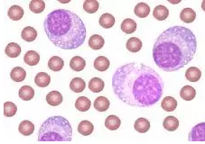 首页-人生就是博中国官方网站