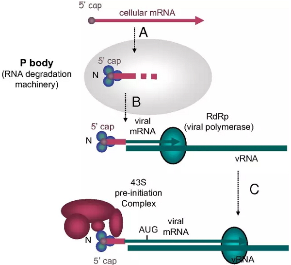 首页-人生就是博中国官方网站