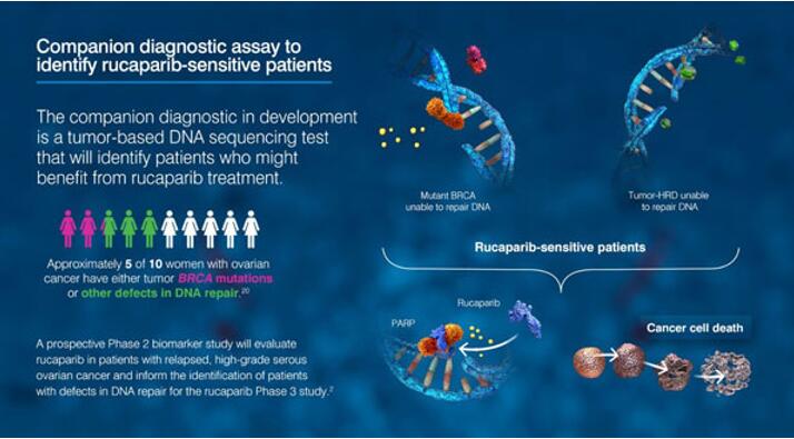 首页-人生就是博中国官方网站