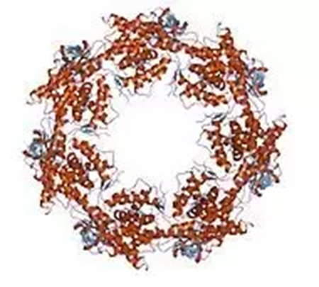 首页-人生就是博中国官方网站