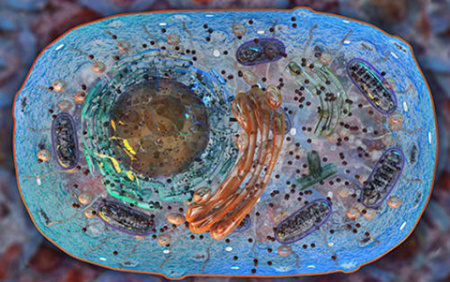 首页-人生就是博中国官方网站