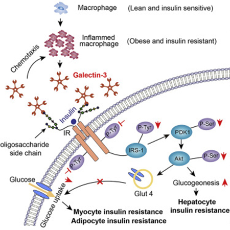 首页-人生就是博中国官方网站