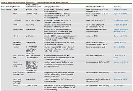 首页-人生就是博中国官方网站