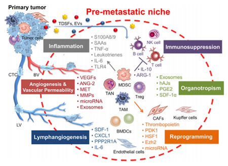 首页-人生就是博中国官方网站