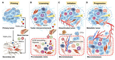 首页-人生就是博中国官方网站
