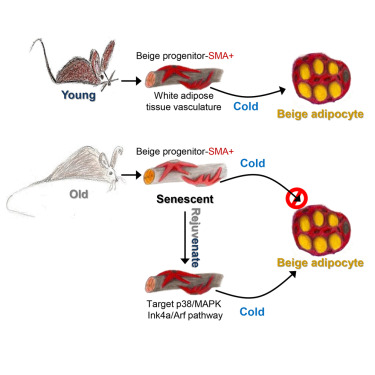 首页-人生就是博中国官方网站
