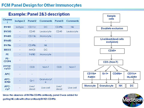 人生就是博官方网站副总裁汪俊博士SAPA-DC聚会演讲PPT