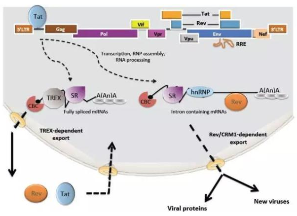 首页-人生就是博中国官方网站