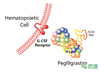 首页-人生就是博中国官方网站
