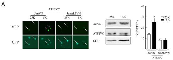 首页-人生就是博中国官方网站