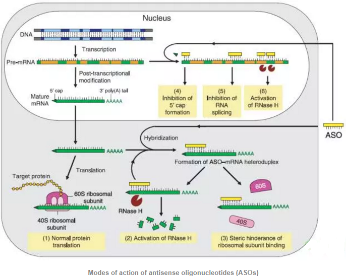 首页-人生就是博中国官方网站
